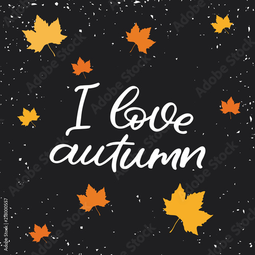 Hand drawn lettering card. The inscription: I love autumn. Perfect design for greeting cards, posters, T-shirts, banners, print invitations.
