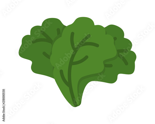 salad image vector icon logo symbol set