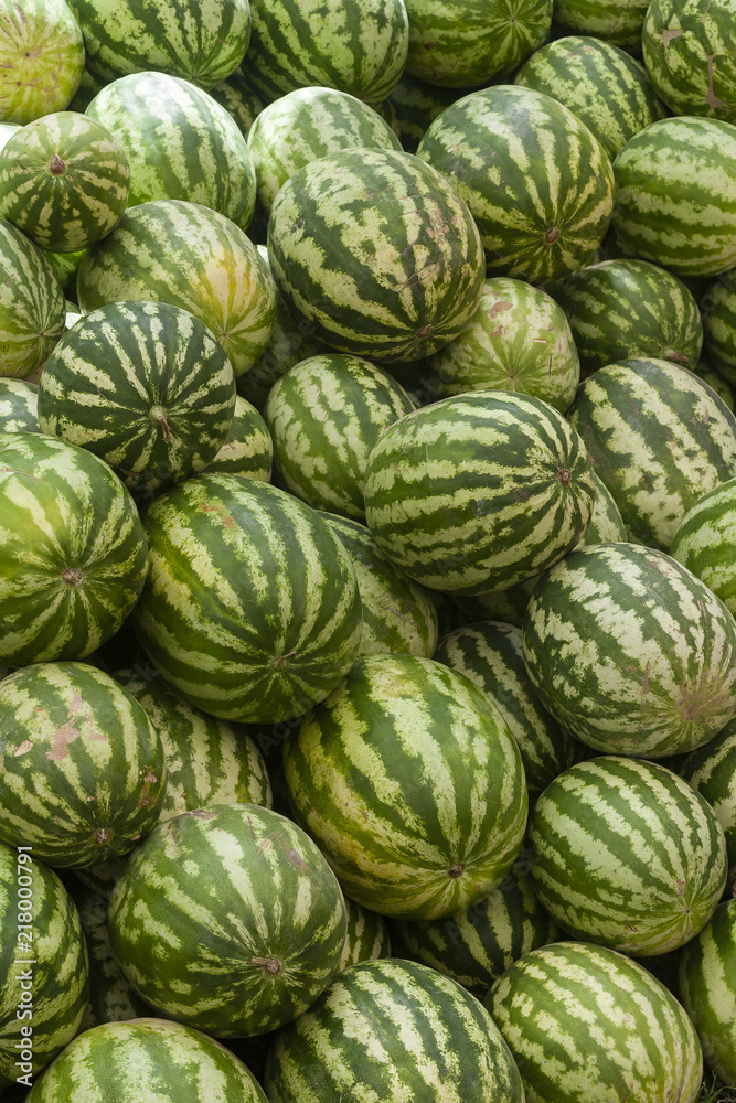 A lot of large ripe green striped watermelons close up background A lot of large ripe green striped watermelons close up background