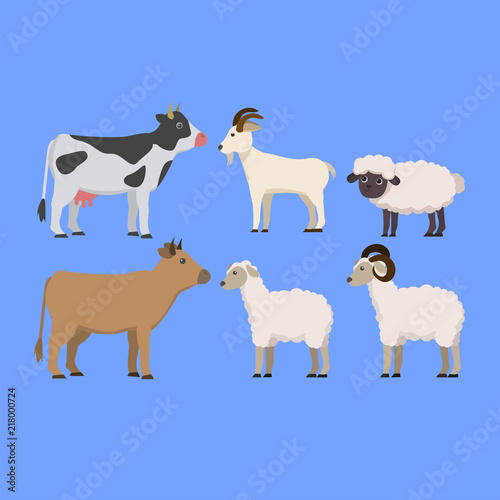 Fototapeta Naklejka Na Ścianę i Meble -  Set of Animal Farming, Sacrifice Animal, Cow, Goat, Sheep, in Cute Illustration Cartoon
