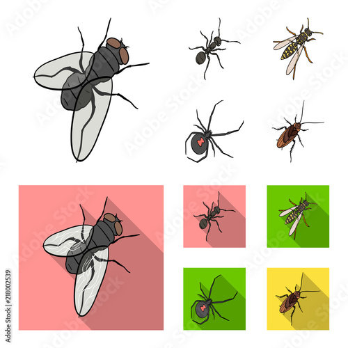 An insect arthropod, an osa, a spider, a cockroach. Insects set collection icons in cartoon,flat style vector symbol stock isometric illustration web.