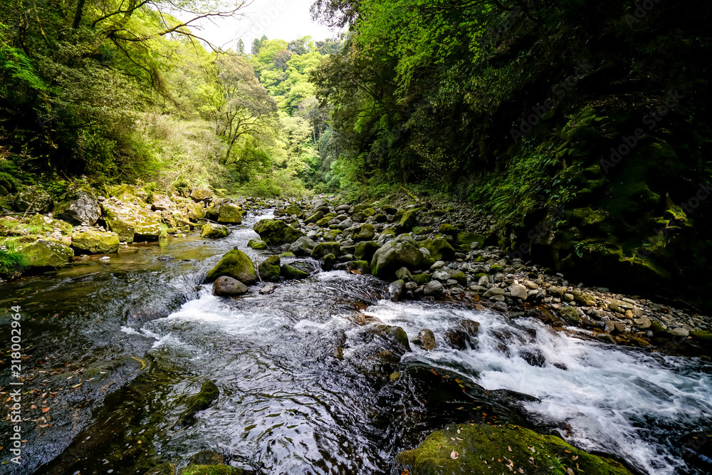 Obraz premium 天岩戸神社 五ヶ瀬川