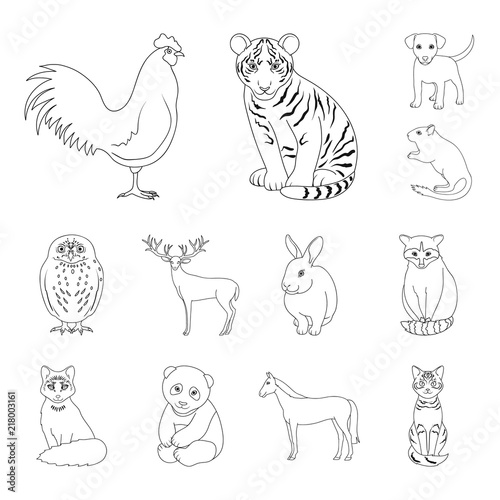 Realistic animals outline icons in set collection for design. Wild and domestic animals vector symbol stock web illustration.