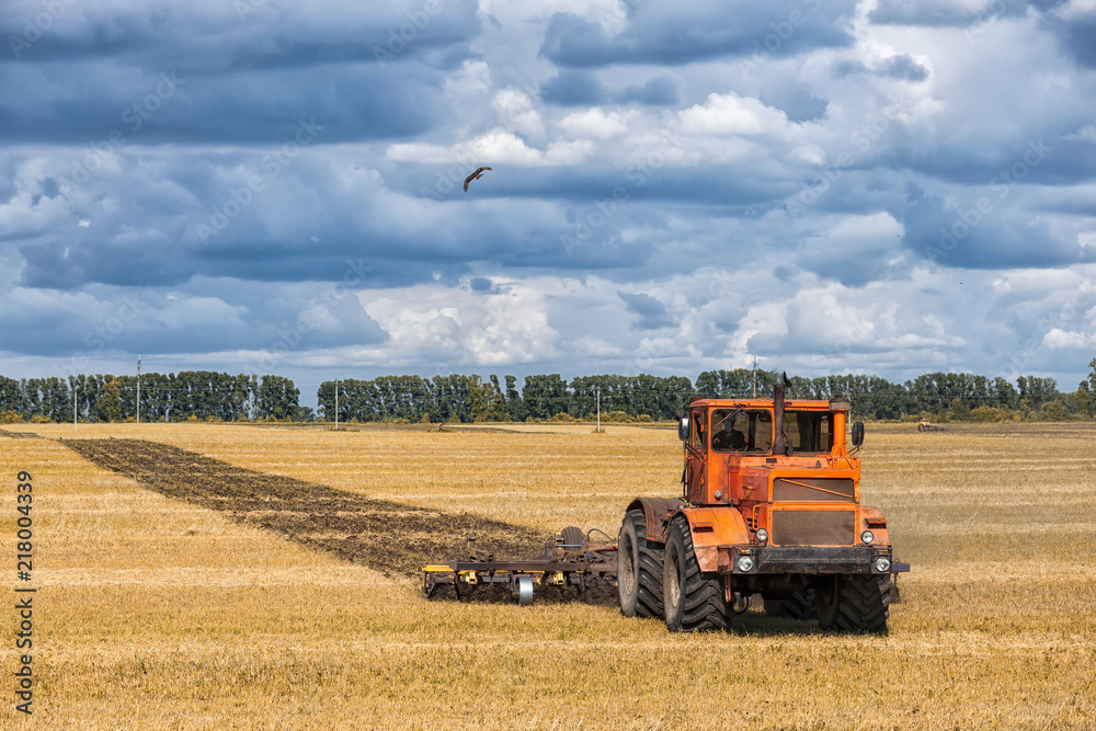 Obraz premium An orange modern tractor plows the earth in.&nbsp; a golden field of wheat on a summer day, in the sky a cumulus cloud, in the background a forest.