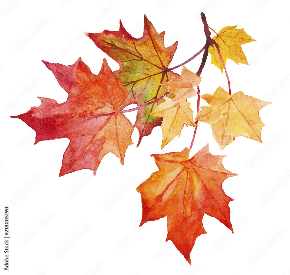 Fototapeta premium Watercolor illustration of yellow and red autumn leaves