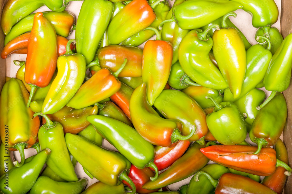 green pepper harvest. green pepper harvest.