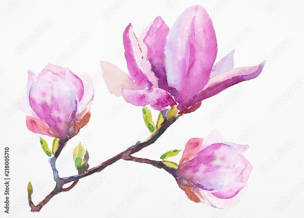 Naklejka premium Watercolor illustration of hand painted seamless magnolia pattern