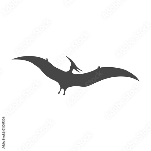 Fototapeta Naklejka Na Ścianę i Meble -  Pterodactyl icon, Vector drawing, Pteranodon bird