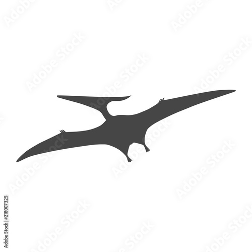 Pterodactyl icon, Vector drawing, Pteranodon bird © sljubisa