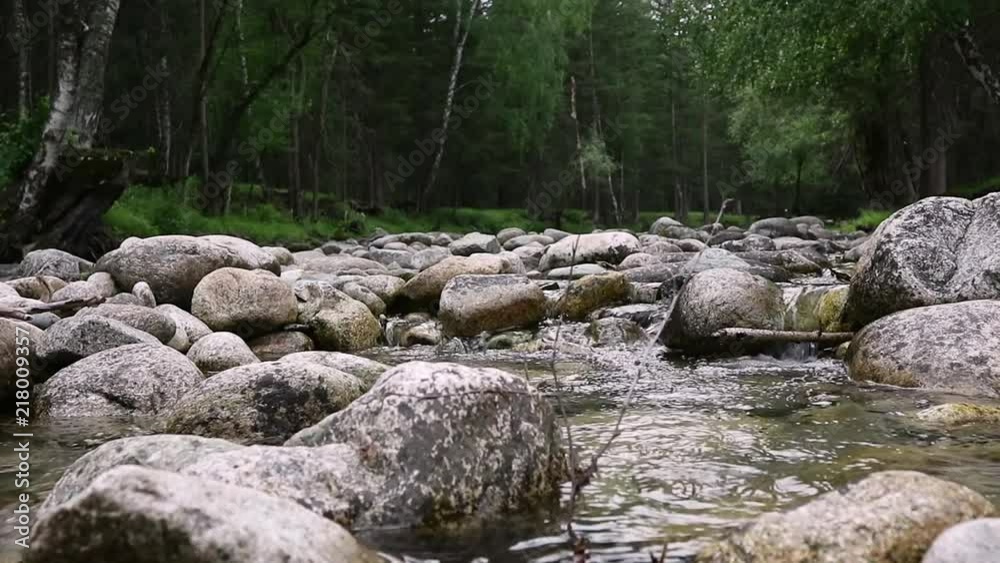 Swift water flow in small mountain river, trees along the river bank Swift water flow in small mountain river, trees along the river bank