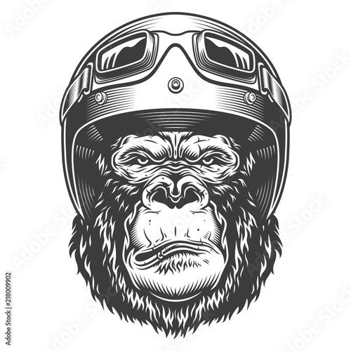 Serious gorilla in monochrome style