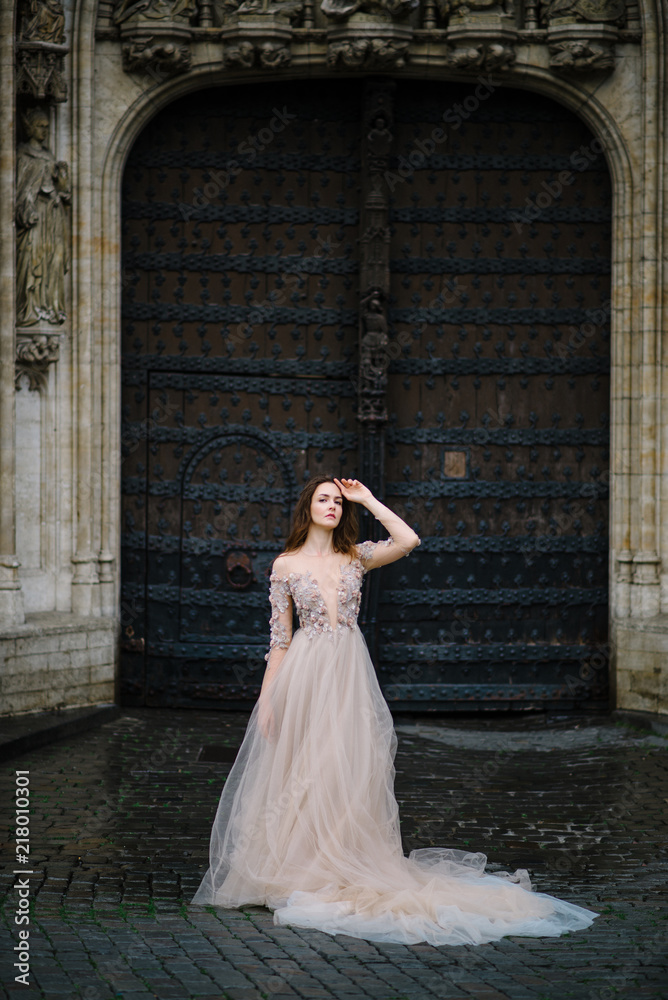 Obraz premium Portrait of a lovely young girl in a lush dress walking around the park and the Grand Palace(Brussels)