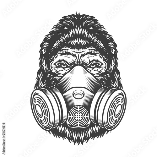 Serious gorilla in monochrome style