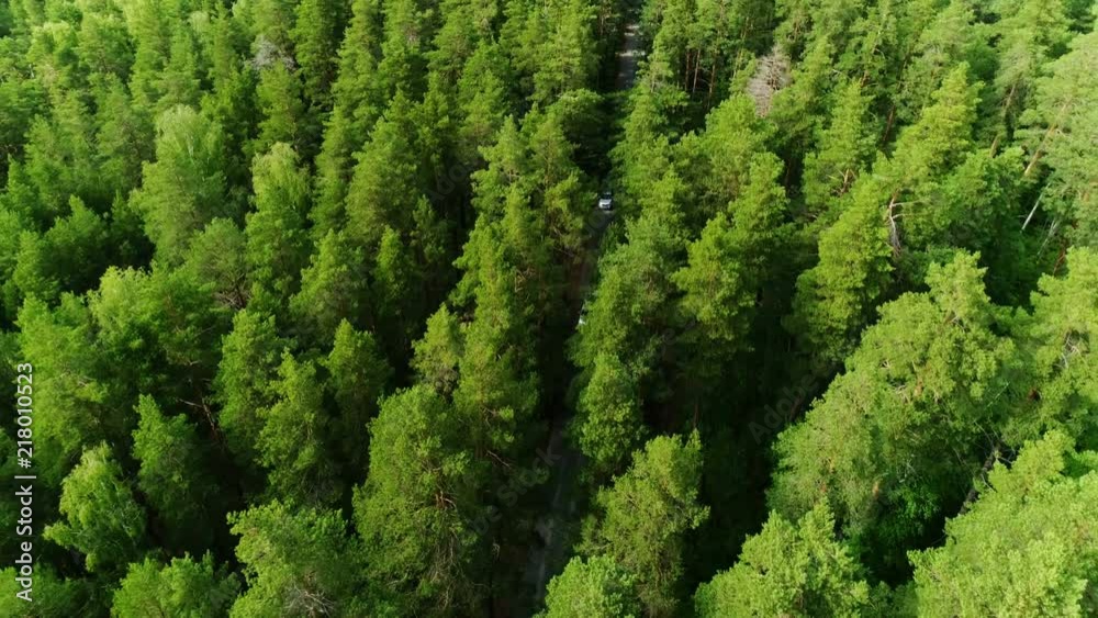 impressive aerial boundless expanses of forest and blue sky on horizon impressive aerial boundless expanses of forest and blue sky on horizon