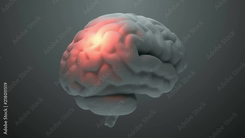 Medical theme 3d render brain with orange zones that symbolize damage or pain. Headache zone concept. Activation of brain intelligence zone.
Medical theme 3d render brain with orange zones that symbolize damage or pain. Headache zone concept. Activation of brain intelligence zone.