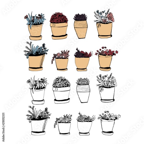 Plants illustrations. Hand drawn object