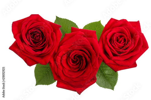 beautiful red rose isolated on white background