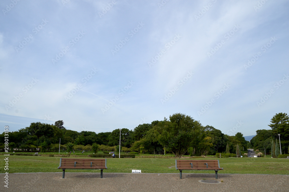 Obraz premium 公園のベンチ