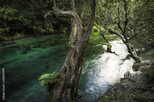 Tarawera River  photo