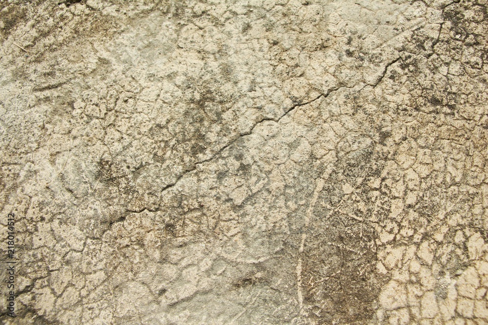 Old concrete floor house. Old concrete floor house.