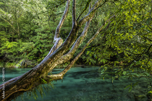 Tarawera River 