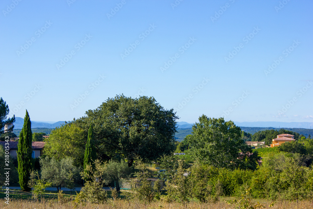 Obraz premium Landscape and Vegetation in the Provence, France