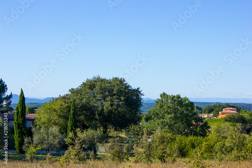 Landscape and Vegetation  in the Provence, France © MariaIsabelle