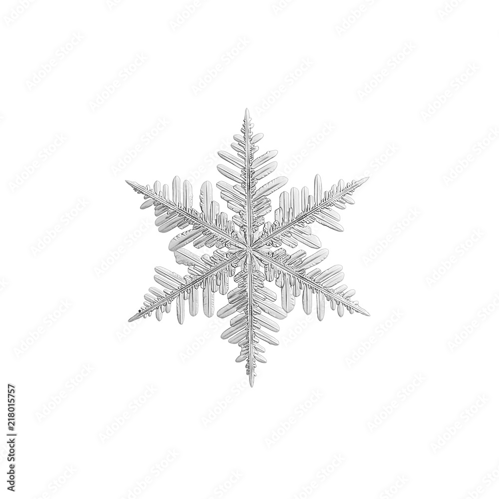 Snowflake isolated on white background. Macro photo of real snow crystal: large stellar dendrite with fine hexagonal symmetry, long elegant arms, complex, ornate shape and glossy relief surface. Snowflake isolated on white background. Macro photo of real snow crystal: large stellar dendrite with fine hexagonal symmetry, long elegant arms, complex, ornate shape and glossy relief surface.