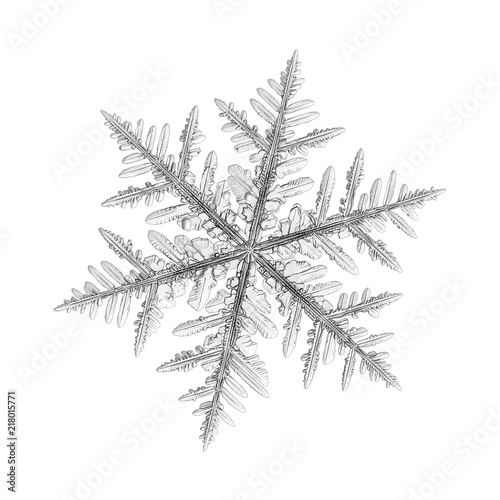 Snowflake isolated on white background. Macro photo of real snow crystal  large stellar dendrite with fine hexagonal symmetry  long elegant arms  complex  ornate shape and glossy relief surface.