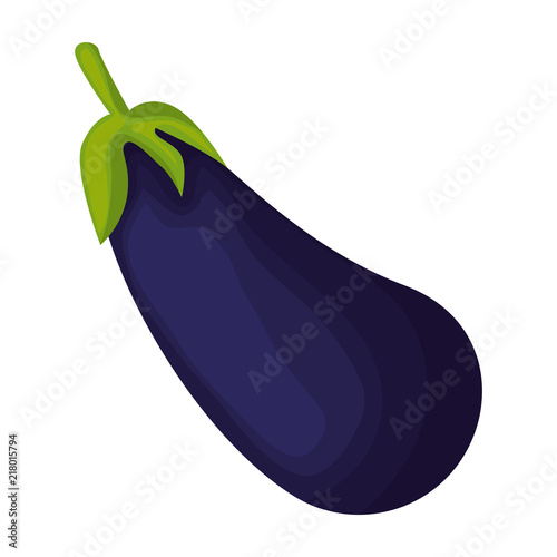 fresh eggplant vegetarian food vector illustration design