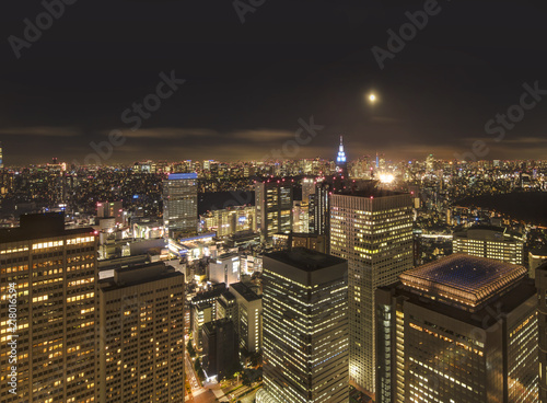 Night-time panoramic view from the Tokyo Metropolitan Government Building on a full moon night.