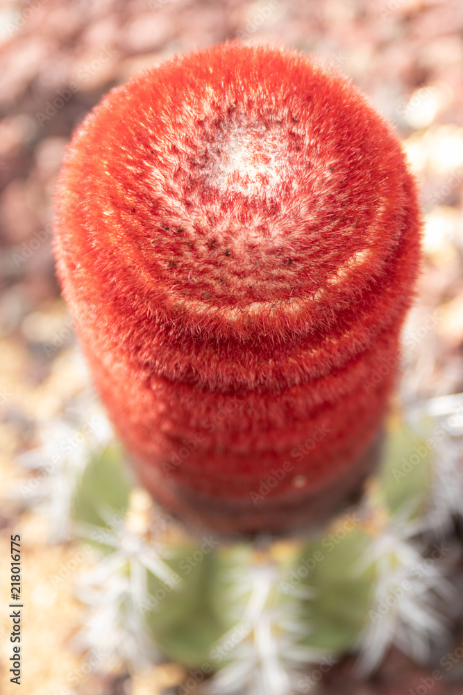 Obraz premium 青乱雲