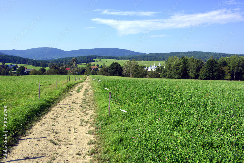 Dirt road among green fields in summer sunny day.Village and mountains in the background.