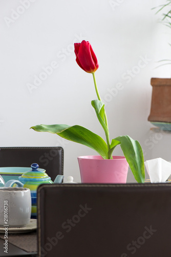 Beautiful red tulip on a table in a modern design dining room. Table prepared for guests. 
