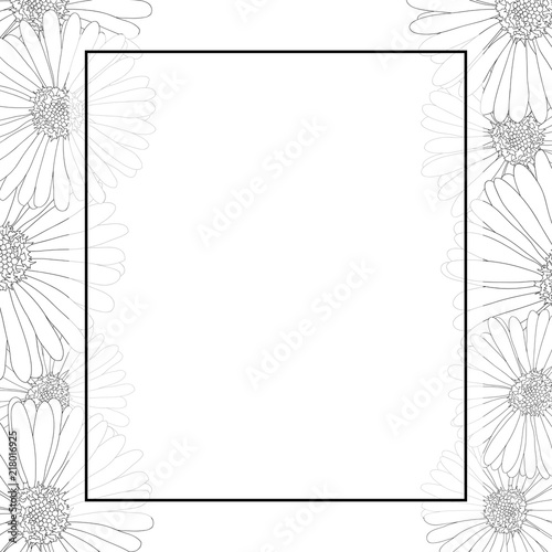 Aster, Daisy Flower Outline Banner Card Border