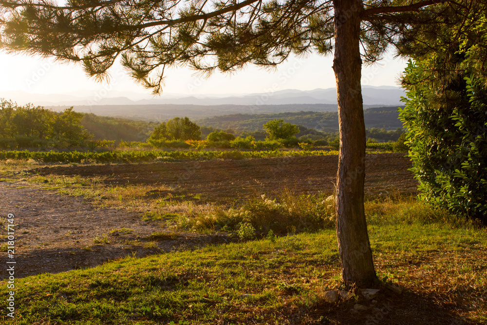 Beautiful view over the landscape, Provence France Beautiful view over the landscape, Provence France