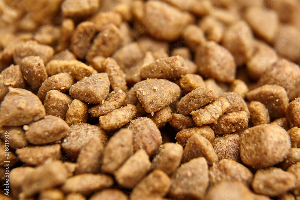 Dry food for dogs and cats. Pet meal background Dry food for dogs and cats. Pet meal background