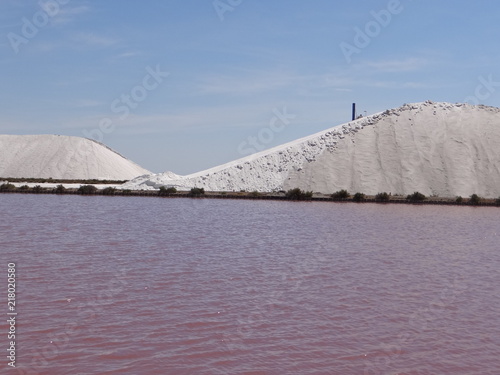 Montage de sel des salins du midi France