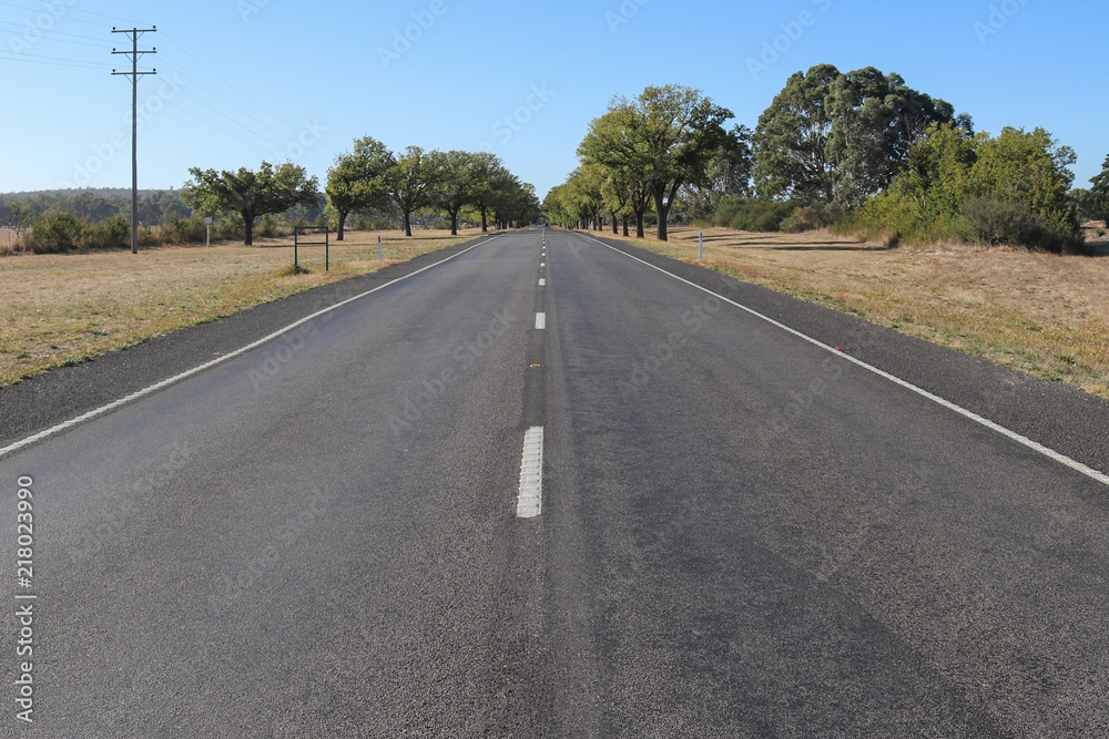 green trees line an Avenue of Honour in rural Australia green trees line an Avenue of Honour in rural Australia