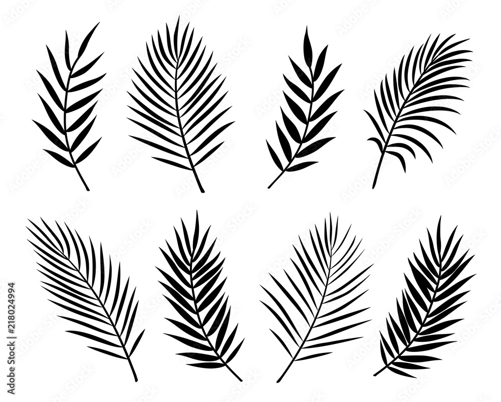 black isolated palm leaves and branches on white