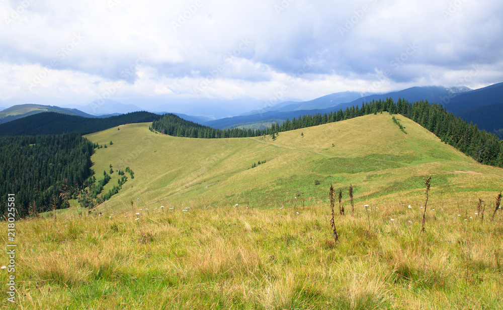 low grey clouds in the mountain valley, green forest, black mountains. top of the hill low grey clouds in the mountain valley, green forest, black mountains. top of the hill