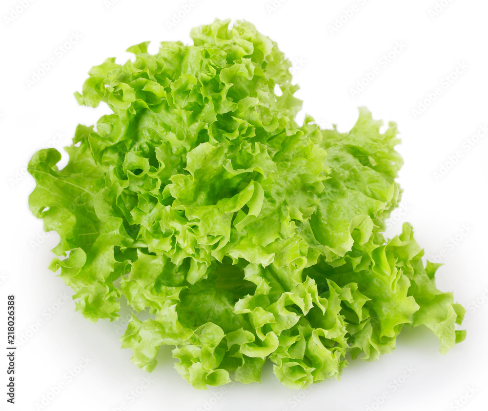 Fresh lettuce salad Fresh lettuce salad