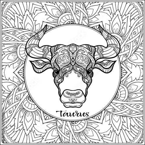 Taurus, bull, ox. Decorative zodiac sign on pattern background. Outline hand drawing. Good for coloring page for the adult coloring book Stock vector illustration.
