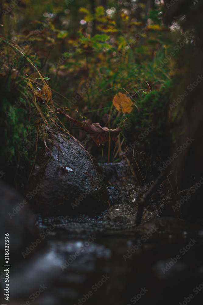 Obraz premium landscape