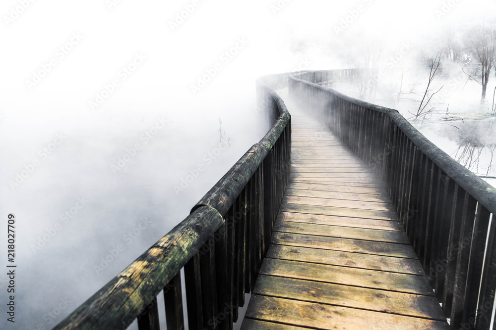 Obraz premium Entre la Niebla