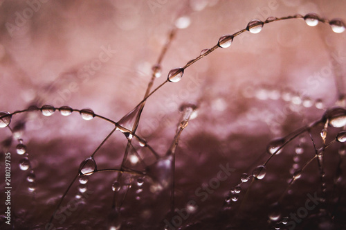 close up raindrop