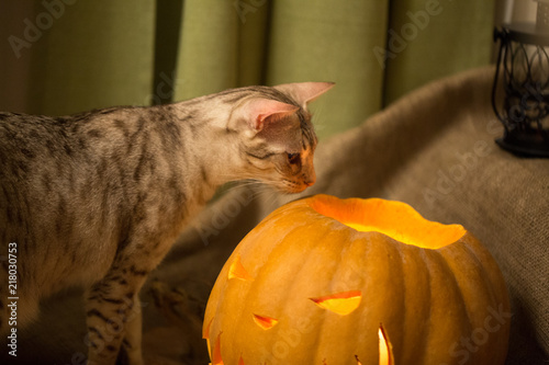 Canvas Print Halloween preparation