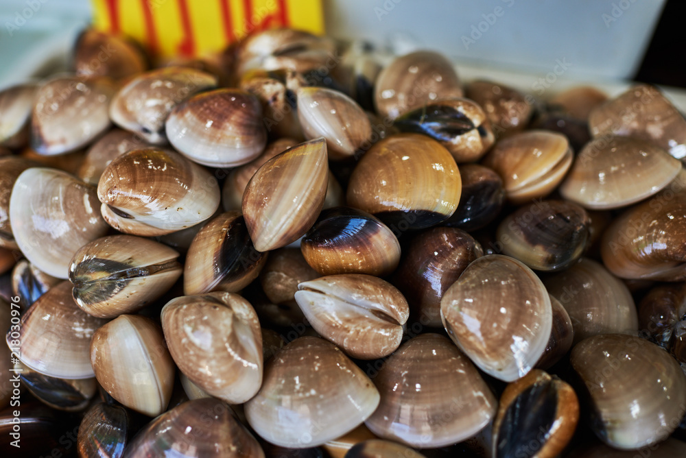 Seafood on ice at the fish market. Fresh raw cockles in a wet market on table top ready for sale at a local fishing village. Best ingredient for traditional asian dishes. Сoncept of healthy eating. Seafood on ice at the fish market. Fresh raw cockles in a wet market on table top ready for sale at a local fishing village. Best ingredient for traditional asian dishes. Сoncept of healthy eating.