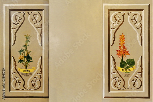 Illustrative botanical painting-Saint Joseph the Worker Cathedral. Tagbilaran city-Bohol island-Philippines-0628 photo