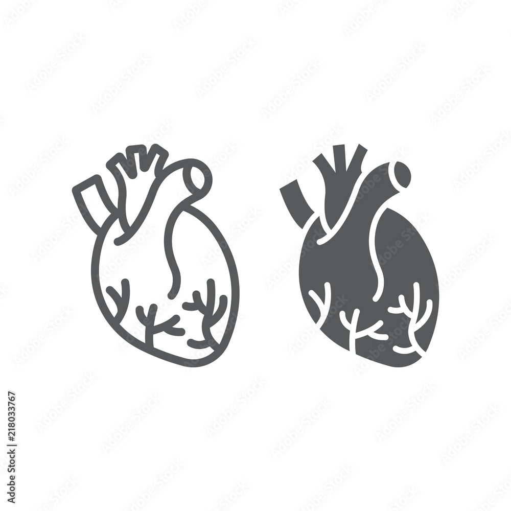 Fototapeta premium Human heart line and glyph icon, anatomy and biology, cardiology sign, vector graphics, a linear pattern on a white background, eps 10.